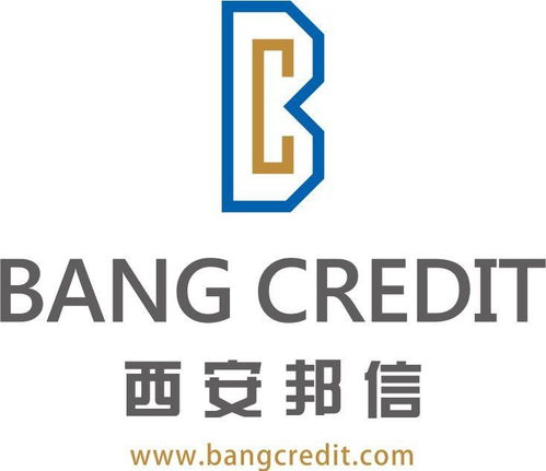 西安邦信商務信息咨詢