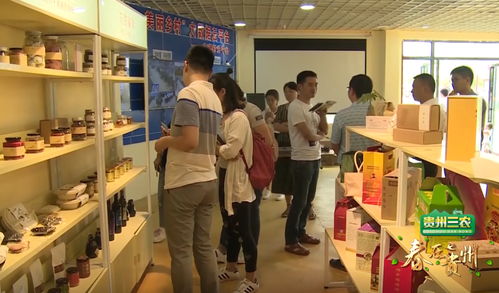 數說貴州 數字鄉村的貴州實踐，智慧生活織就智富夢